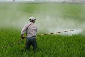 Paraquat and Importance of Obtaining the Right Representation